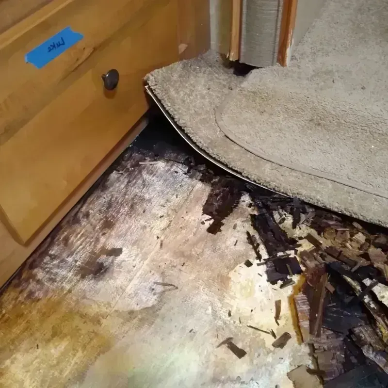 Wood Floor Water Damage in Camp Point, IL